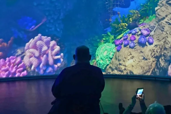 Two people sit in a darkened room watching a large, curved immersive projection screen displaying a vivid underwater coral reef scene with colorful corals in pink, purple, and green against blue water. One person is silhouetted while seated upright, and another reclines nearby while recording the display on a smartphone.